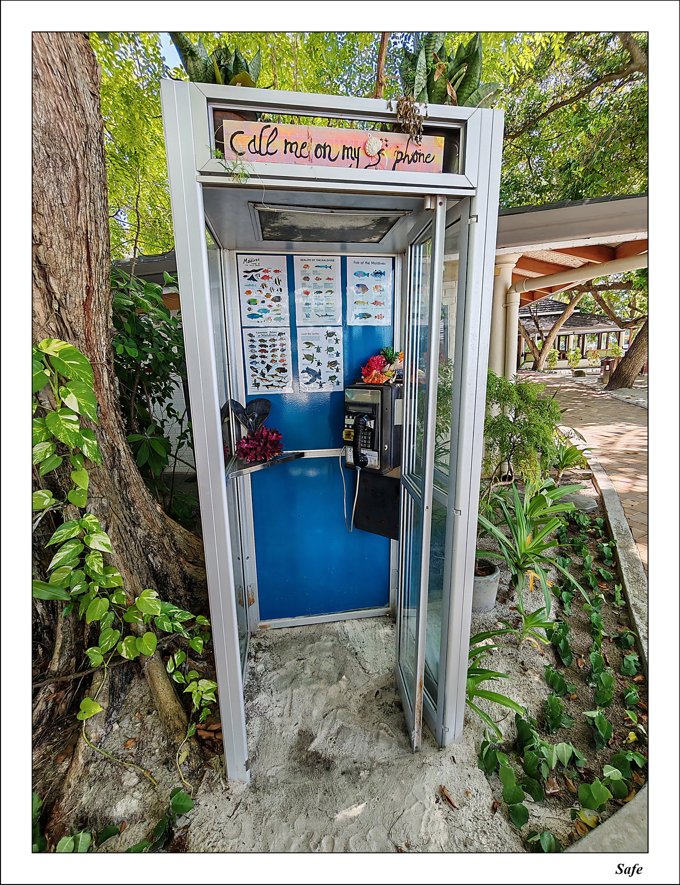 2026 - 07 - Royal Island Resort - 17
